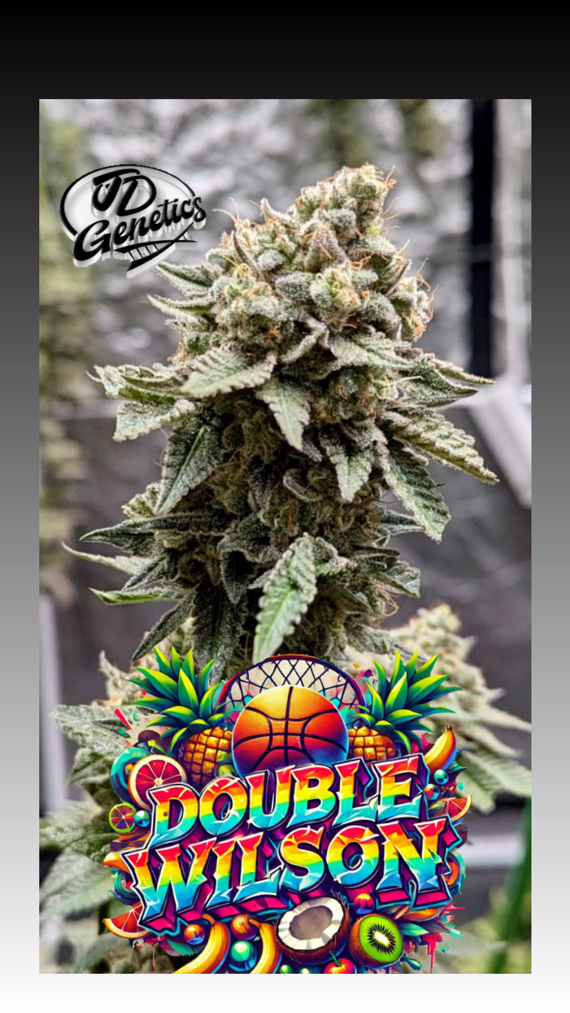 Doppel-Wilson - (Wilson x Wilson Zero)