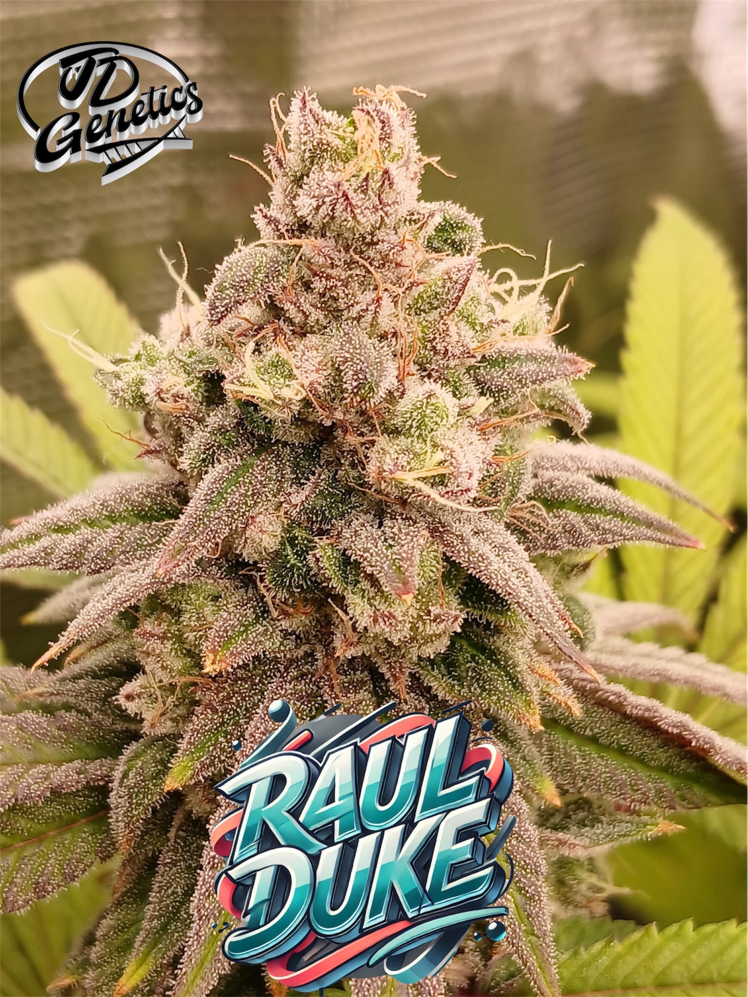 Raul Duke - (Spritzer x Nicole)